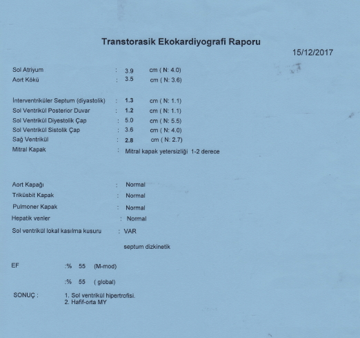 Image-1.jpg